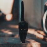 Schwarze Katze mit steil aufgerichtetem Schwanz - SerWorGat