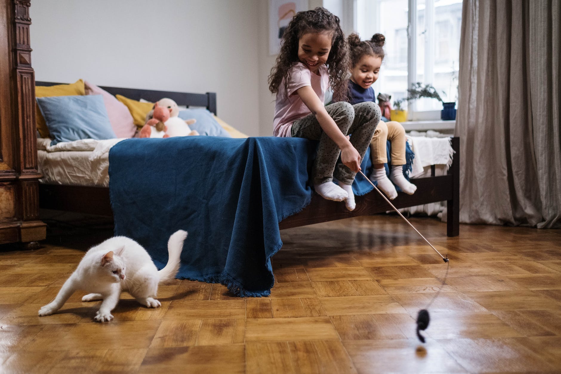 Kind spielt mit weisser Katze mit Spielangel - Serworgat Katzenratgeber für Kennenlernen und Vertrauen