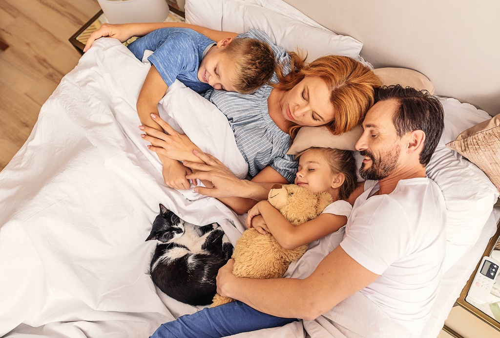 Kater Chili kuschelt mit seiner Familie im Bett - SerWorGat