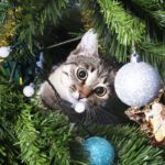 Serworgat - Katze aus Weihnachtsbaum